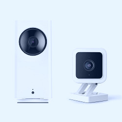Amazon.com : Wyze Cam v3 and Wyze Cam Pan v2 1080p Pet Monitoring Camera,  Color Night Vision, Compatible with Alexa Google Assistant IFTTT,  Indoor/Outdoor Baby Security Camera for Entire Home Surveillance :